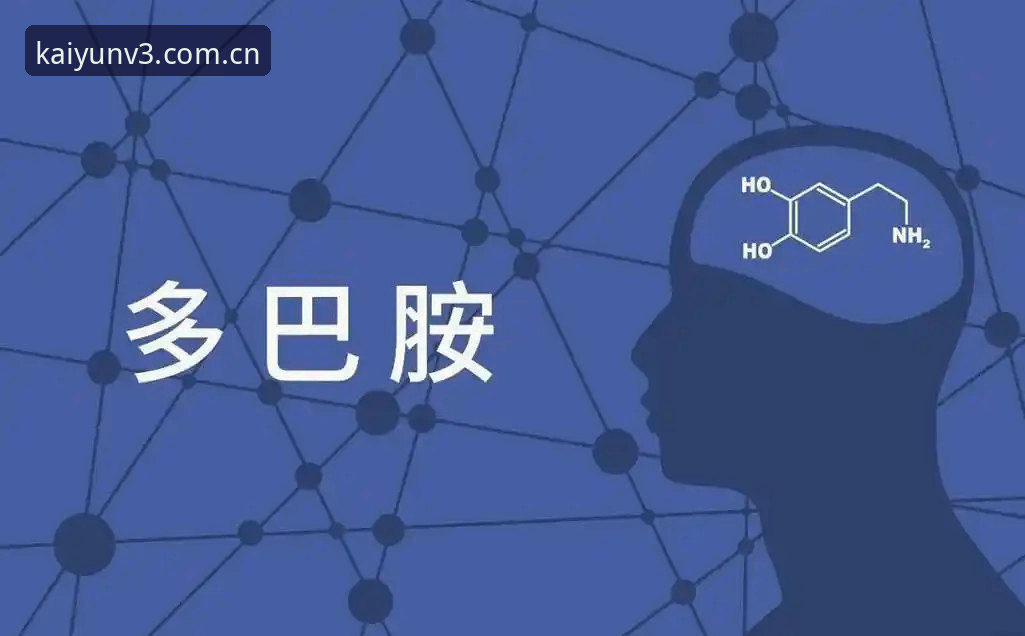 开云新版 两场“决赛”的观感:资深用户分享开云新版看球与投注的双重体验